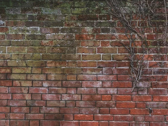 Wallpapering tips 1 Wall papering tips