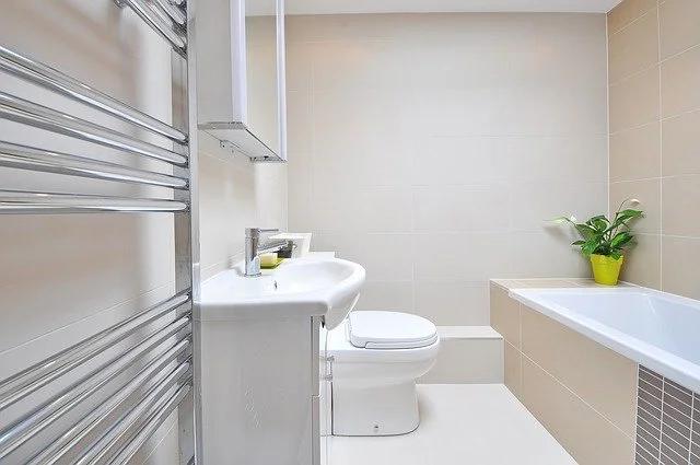 bathroom Painting